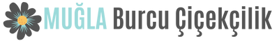 https://www.instagram.com/muglaburcucicek